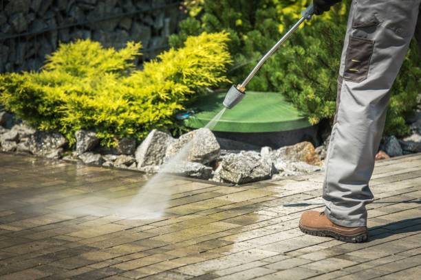 Best Sidewalk and Walkway Cleaning  in Fenton, MO